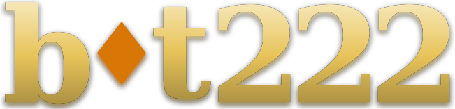 bot222 logo